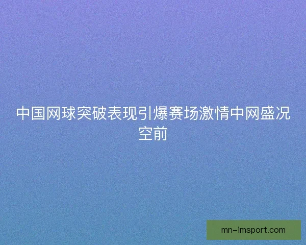 中国网球突破表现引爆赛场激情中网盛况空前