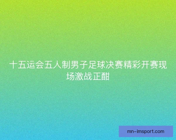 十五运会五人制男子足球决赛精彩开赛现场激战正酣